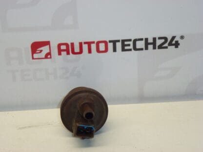 Soupape à charbon actif Citroën Peugeot 2580008C 16287G