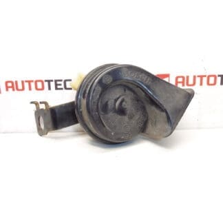 Corne de corne avec Citroen C4 6236G3