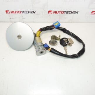 Sada de Serrures Peugeot 206 1 Clé 4162EZ 4162NR