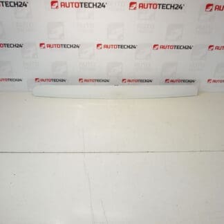 EWP Peugeot 207 SW 8742R2